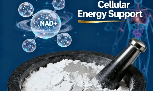 What Is Liposomal NAD+ Powder and Its Anti-Aging Benefits?